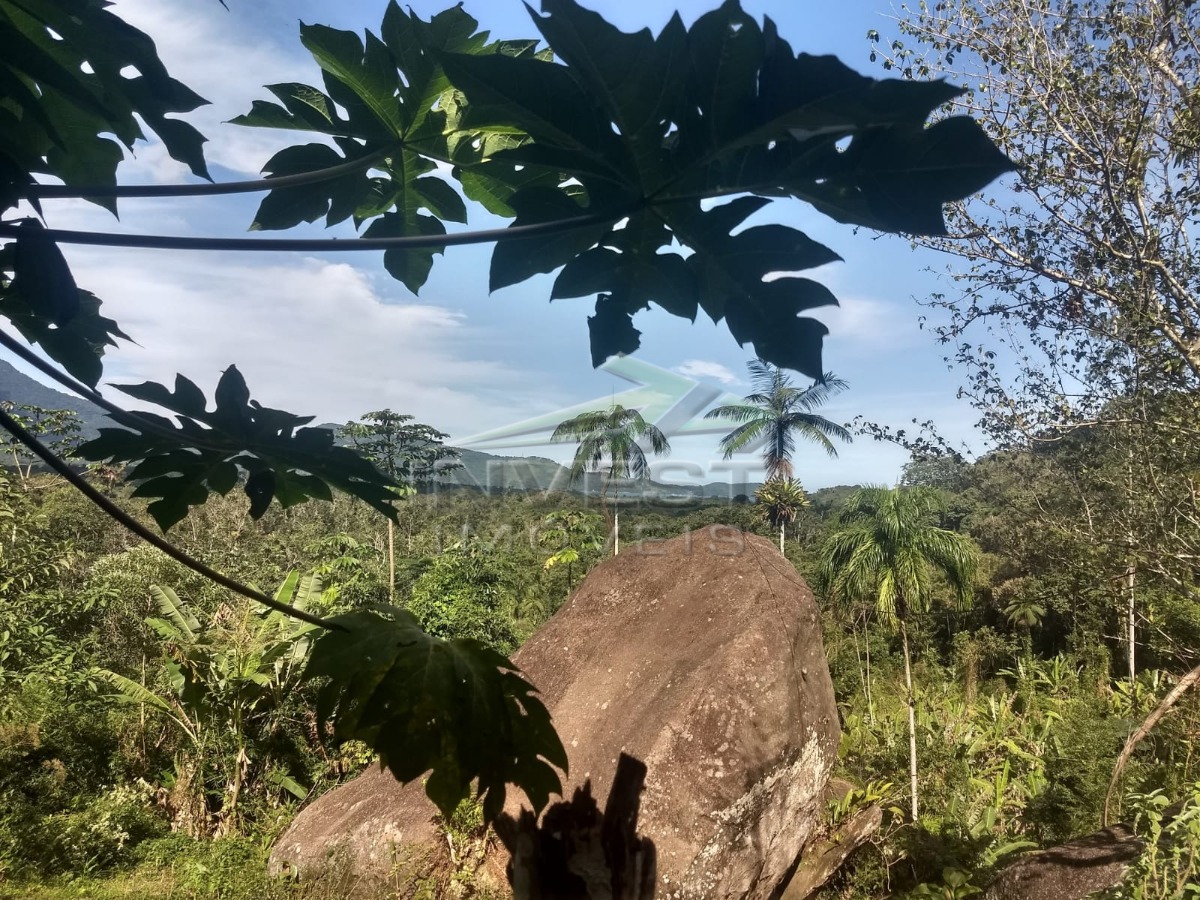 Ubatuba, Ubatumirim, Área 60000 M², Próximo a Rodovia Rio Santos, Trevo de Acesso a Praia