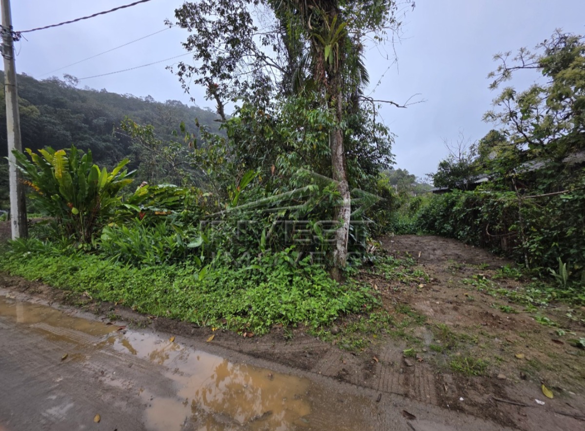 Ubatuba, Ubatumirim, Vila Rolim, 250 M², Plano, Próximo da Rodovia