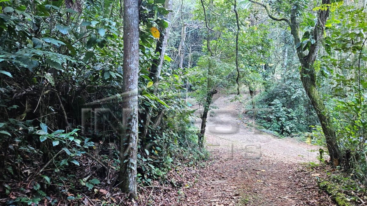 Ubatuba, Praia do Felix - Lote em Fase de Licenciamento Ambiental com 900m2