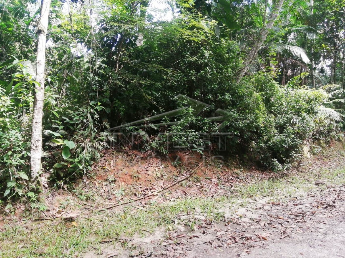 Ubatuba, Praia do Prumirim - Lote Declividade Leve de Fácil Edificação com 850m2