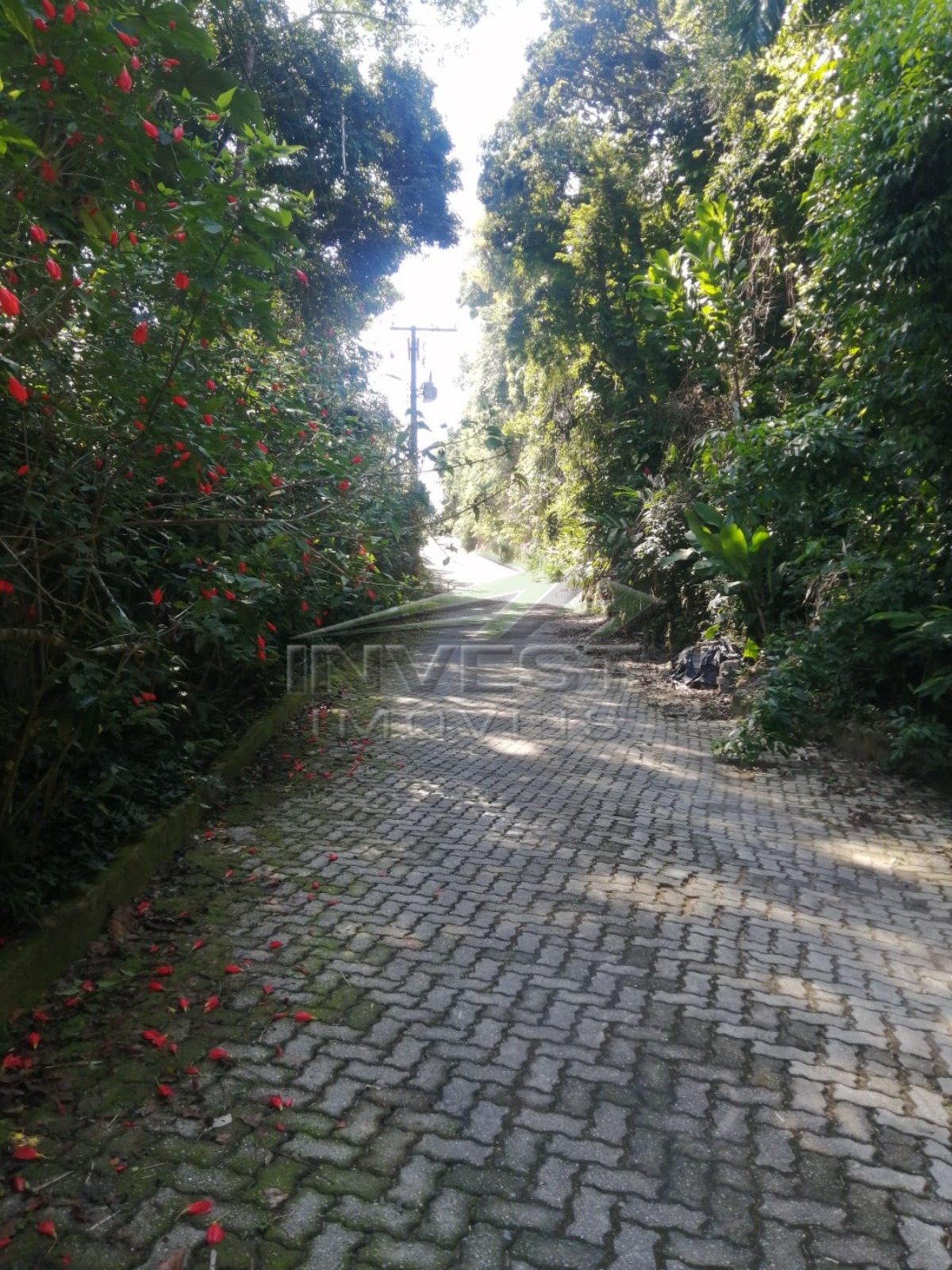 Ubatuba Bairro da Ponta Grossa - Lindo Lote com Aclividade Leve com 1441m2
