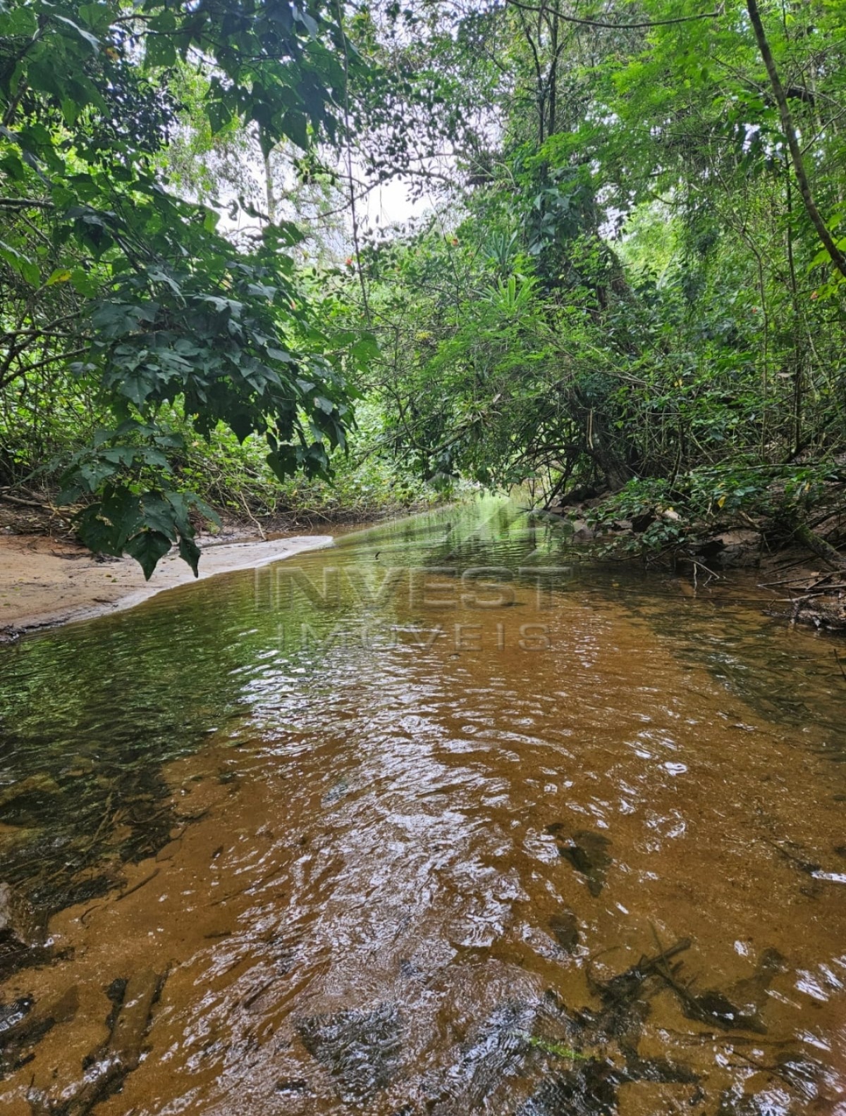 Oportunidade - Ubatuba, Praia do Felix - Lote Frente Mar, com 1000m2, Sem Licenciamento Ambiental