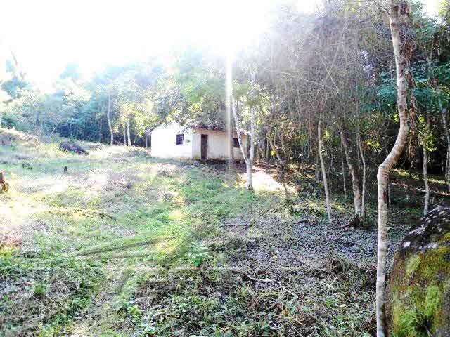 Área No Prumirim, Bem Localizada, 80% Plana, 105 Mil M2